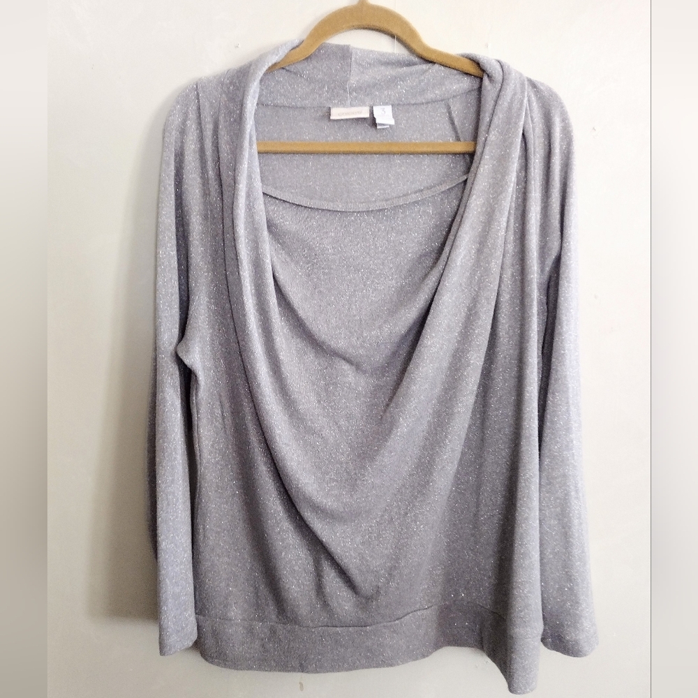 Elegant Silver Chicos Top
